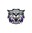 Henry County High School Football