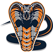 Henry County High School Football