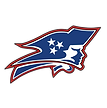 Henry County High School Football