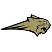 Henry County High School Football